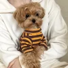 2025 Yellow Striped Dog Clothes New Puppy Bottom Shirt Teddy Summer Casual Vest Pet Pomeranian Home Clothing
